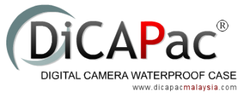 dicapac_logo